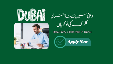 Data Entry Clerk Jobs in Dubai